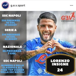 insigne g.e.v. management